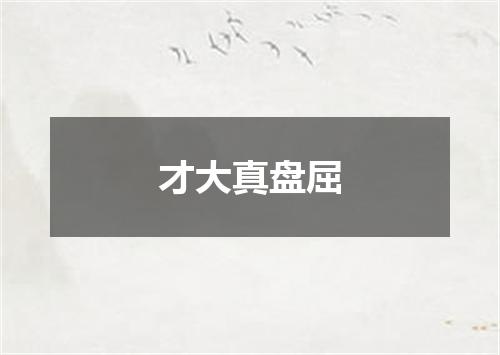 才大真盘屈