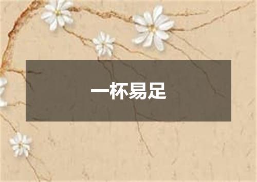 一杯易足
