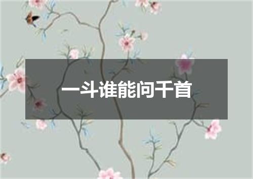一斗谁能问千首