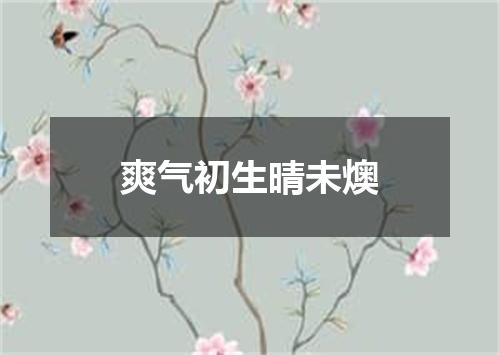 爽气初生晴未燠