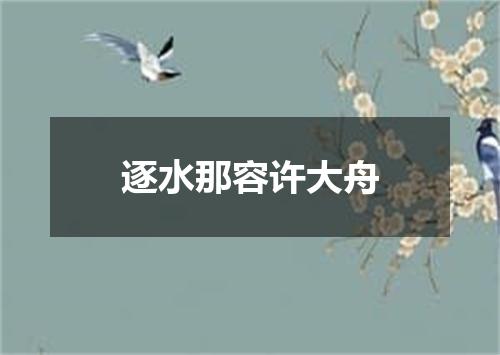 逐水那容许大舟