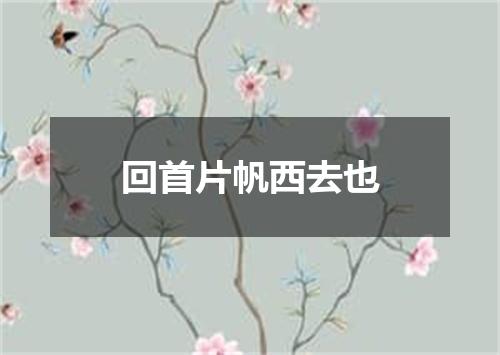 回首片帆西去也