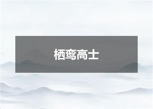 栖鸾高士