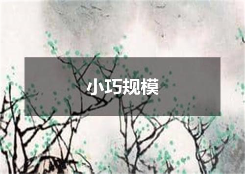 小巧规模