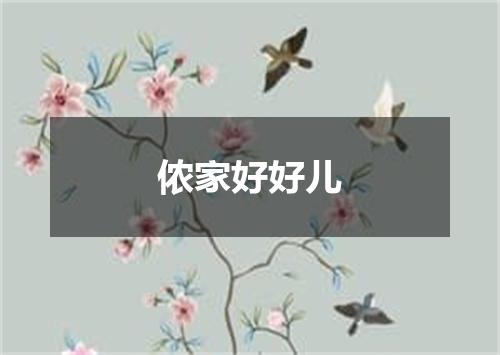 侬家好好儿