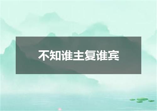 不知谁主复谁宾
