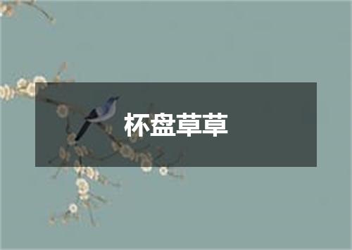 杯盘草草