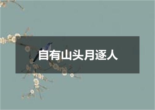 自有山头月逐人