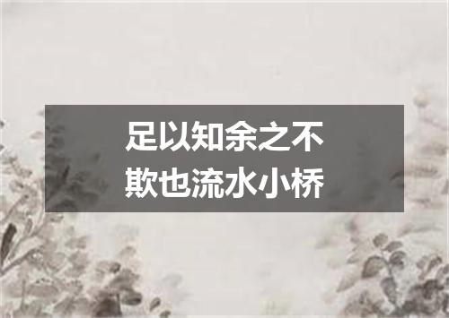 足以知余之不欺也流水小桥