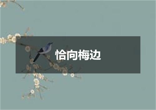 恰向梅边