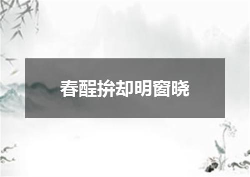 春酲拚却明窗晓