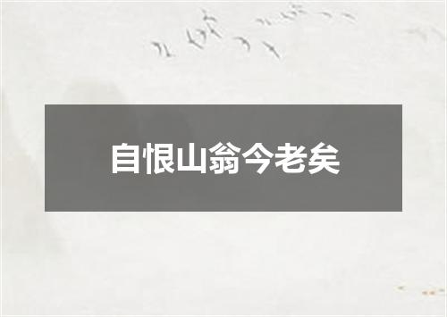 自恨山翁今老矣
