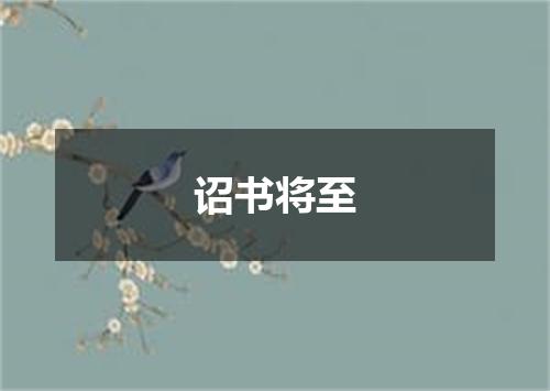 诏书将至