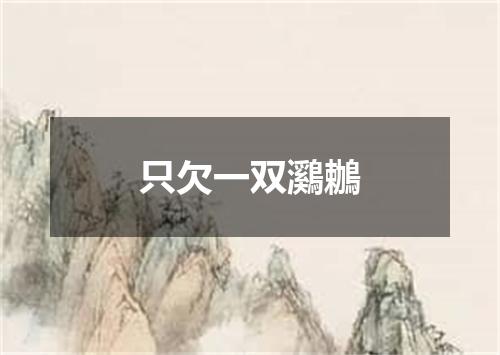 只欠一双鸂鶒