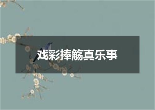 戏彩捧觞真乐事