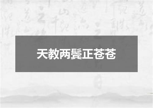 天教两鬓正苍苍