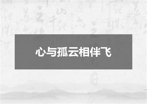 心与孤云相伴飞