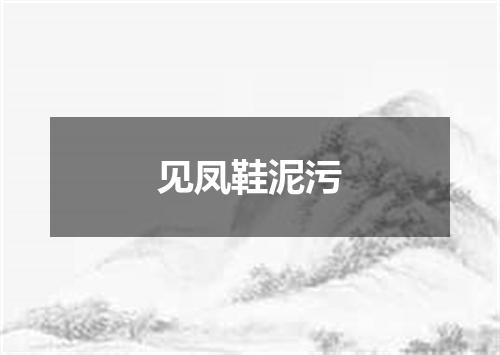 见凤鞋泥污