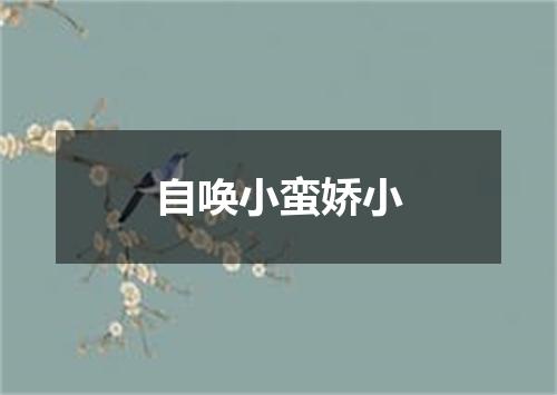 自唤小蛮娇小