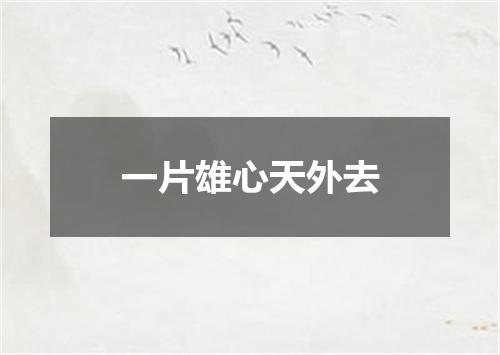 一片雄心天外去