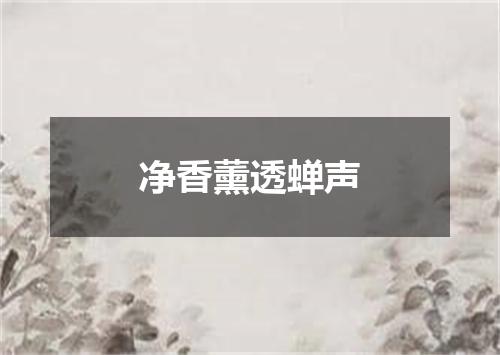 净香薰透蝉声