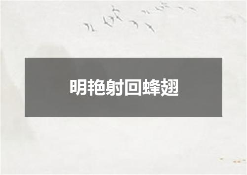 明艳射回蜂翅