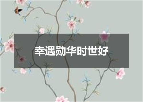 幸遇勋华时世好