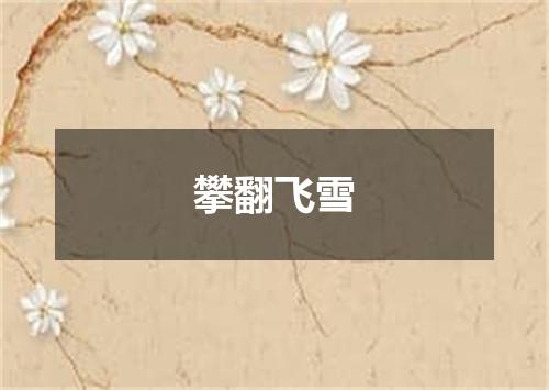 攀翻飞雪