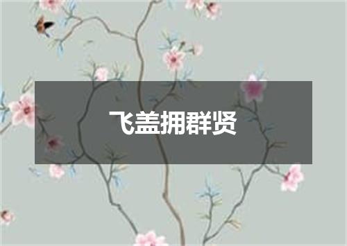 飞盖拥群贤