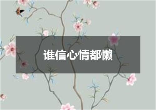 谁信心情都懒