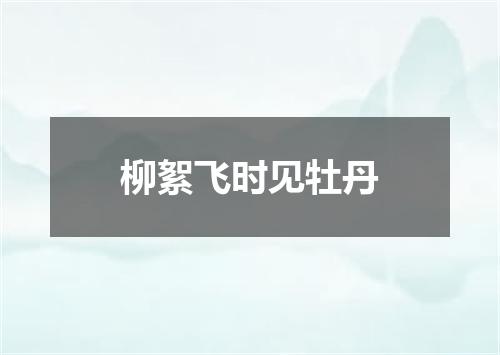 柳絮飞时见牡丹