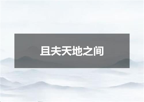 且夫天地之间