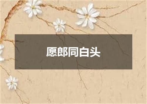 愿郎同白头