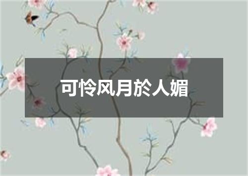 可怜风月於人媚
