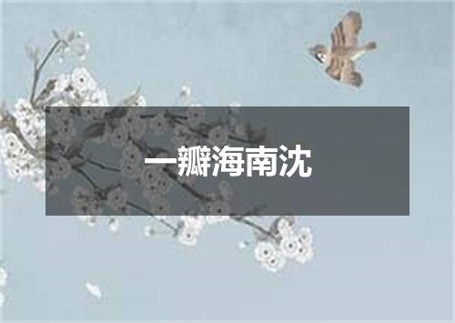一瓣海南沈
