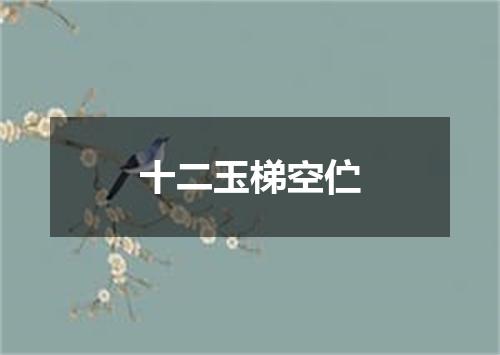 十二玉梯空伫