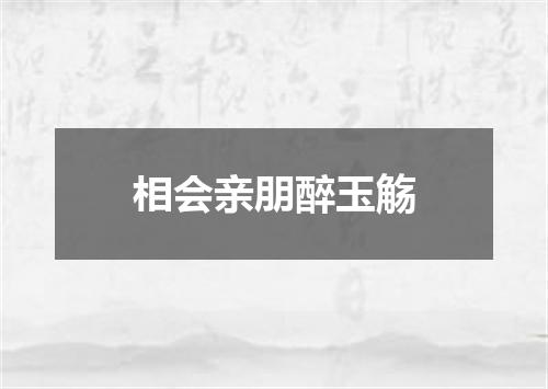 相会亲朋醉玉觞