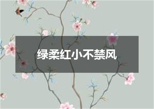 绿柔红小不禁风
