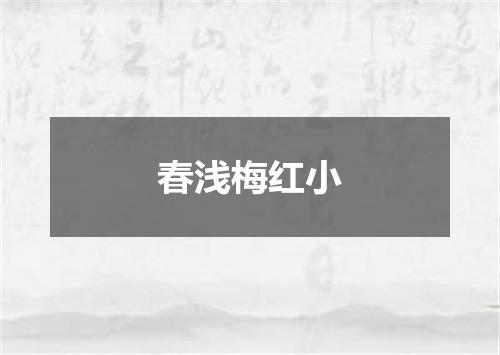 春浅梅红小