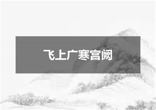 飞上广寒宫阙