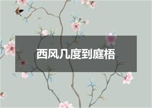 西风几度到庭梧