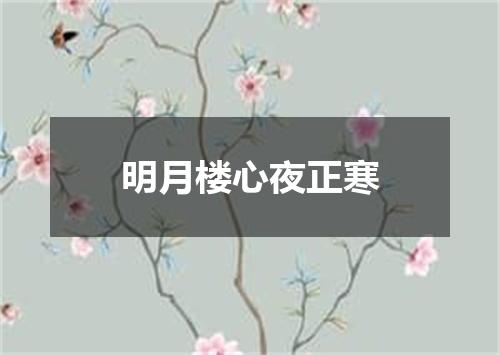 明月楼心夜正寒