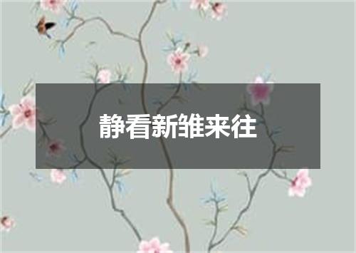 静看新雏来往