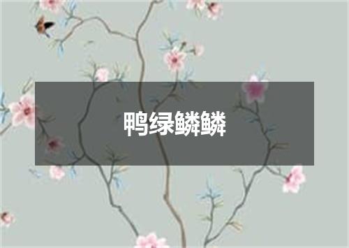 鸭绿鳞鳞