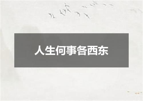 人生何事各西东