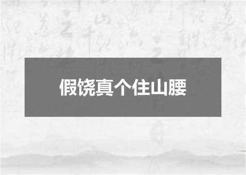 假饶真个住山腰