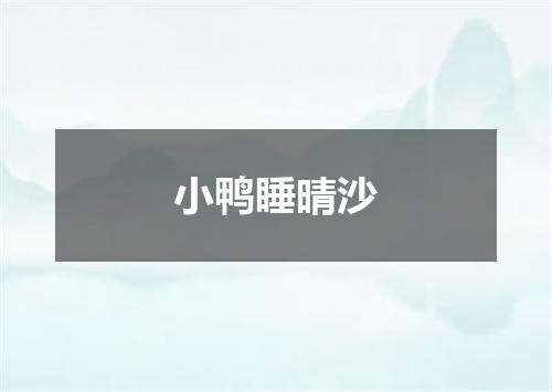 小鸭睡晴沙