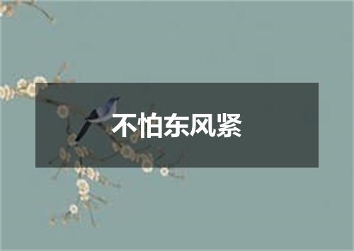 不怕东风紧