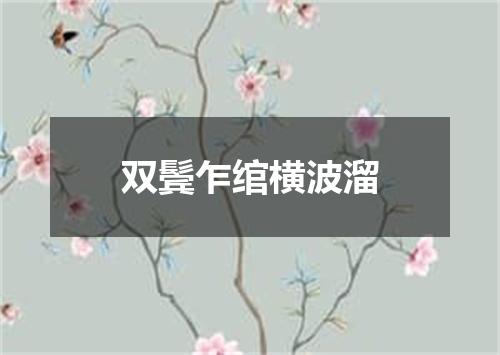 双鬓乍绾横波溜