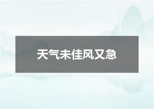 天气未佳风又急